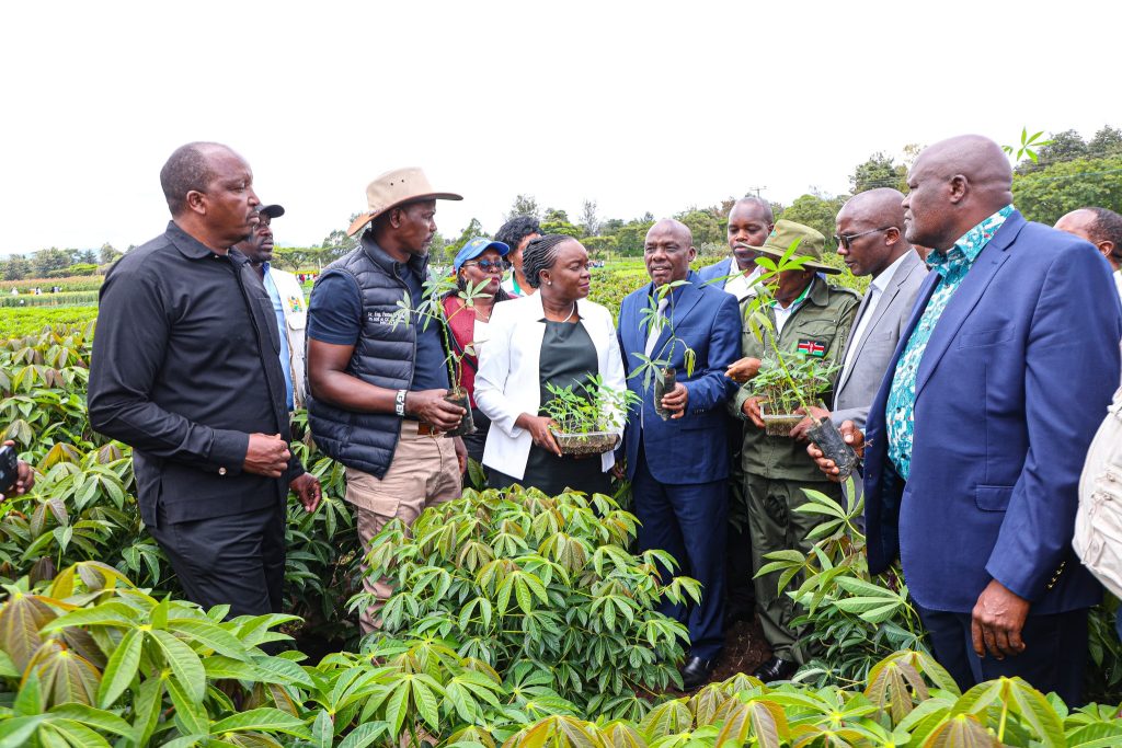 CS Deborah Barasa Urges Climate Awareness and Environmental Action at World Meteorological Day Event