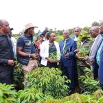 CS Deborah Barasa Urges Climate Awareness and Environmental Action at World Meteorological Day Event