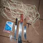 Five Suspects Linked to Vehicle and Livestock Theft Arrested in Nyeri