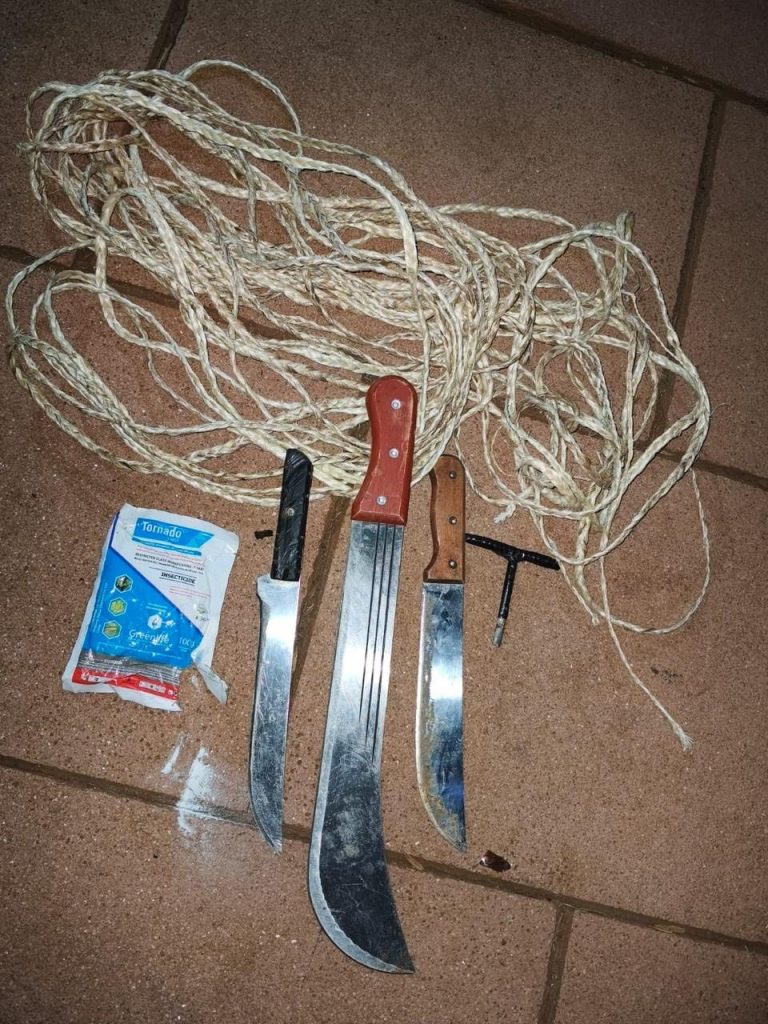 Five Suspects Linked to Vehicle and Livestock Theft Arrested in Nyeri