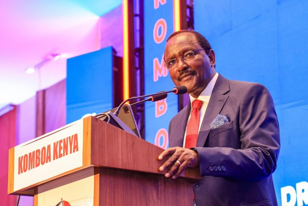 Kalonzo dismisses split claims after unveiling 13-point agenda