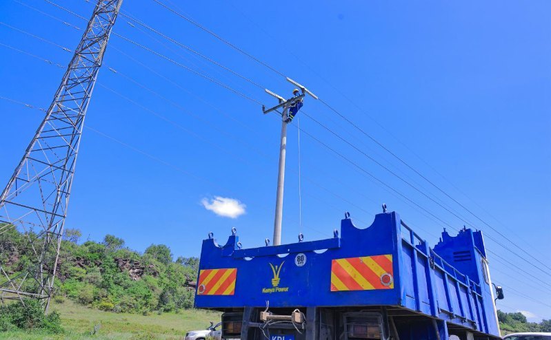 Kenya Power Launches Wildlife Protection Project to Reduce Power Outages