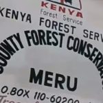 KFS Invites Public Views on Proposed Upper Imenti Forest Airstrip Amid Court Battle