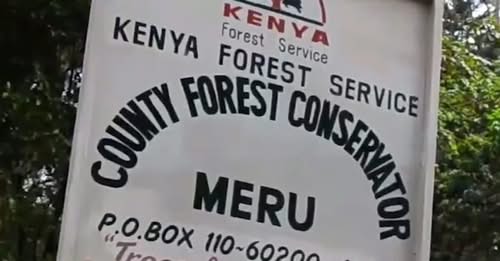 KFS Invites Public Views on Proposed Upper Imenti Forest Airstrip Amid Court Battle