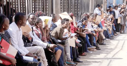 Kenya’s University Expansion Outpaces Formal Job Growth, Deepening Graduate Employment Crisis