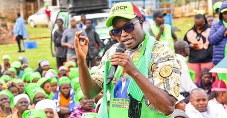 MP Kaguchia Warns Kenyans May Resort to Self-Defence Over Political Violence
