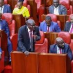 Petition Seeks One-Term Limit for Nominated MCAs