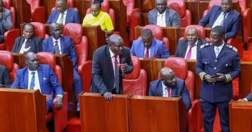 Petition Seeks One-Term Limit for Nominated MCAs