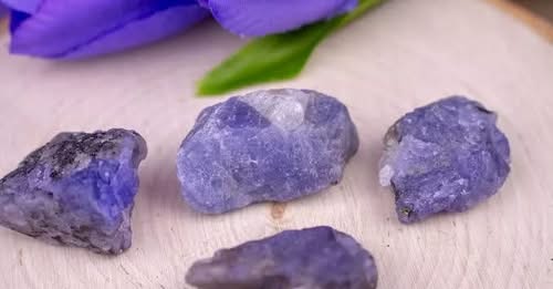 Two More Suspects Arrested in Mombasa Robbery-Murder Case as Police Recover Sh5.1 Million Tanzanite