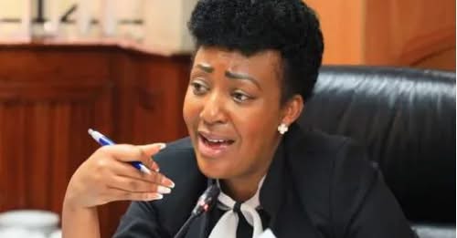 Senators Sound Alarm Over Crumbling County Ambulance Services