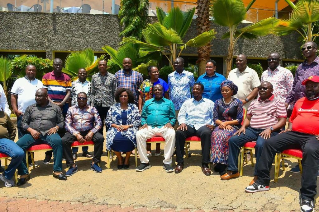 WESTERN KENYA AND THE DP SEAT: POLITICAL BARGAIN OR DEVELOPMENT AGENDA?
