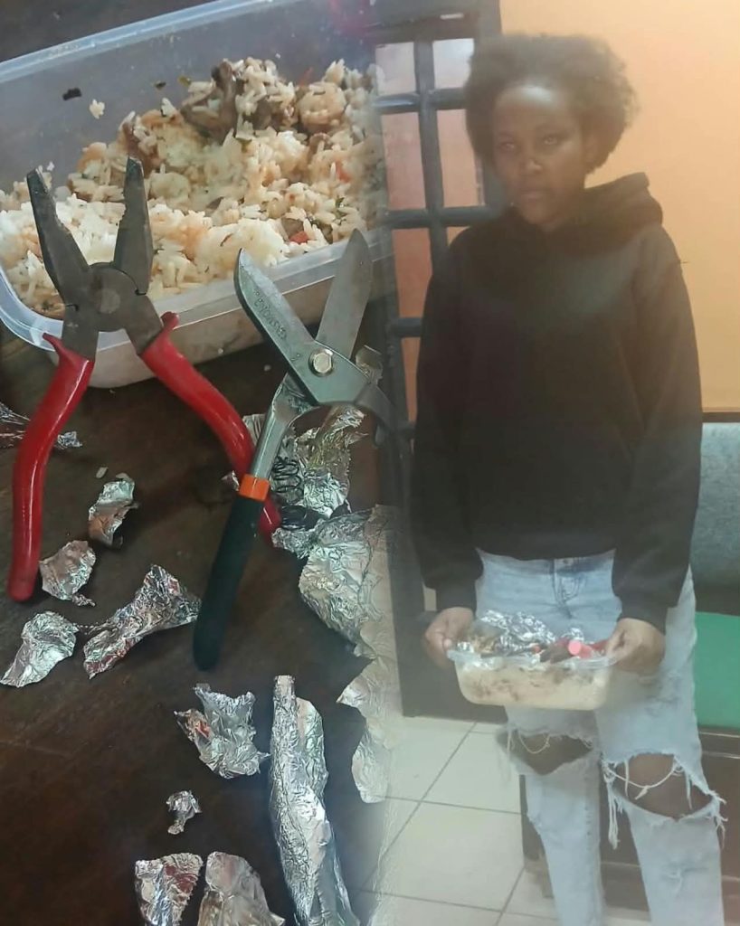 WOMAN ARRESTED OVER ALLEGED HIDDEN JAILBREAK TOOLS